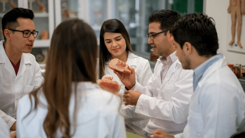 Anatomy teacher showing his college students an anatomy model