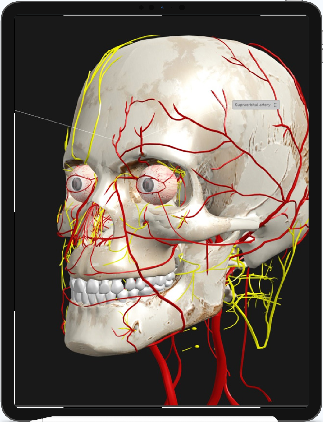 Tablet with Human Head in 3D