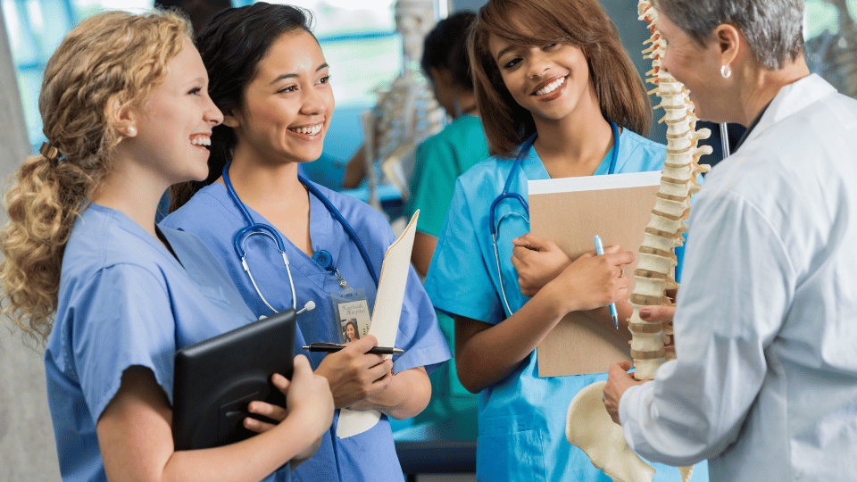 Anatomy students studying the human spine