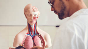 Man learning human anatomy, holding a tablet with VIVED Learning Anatomy Course
